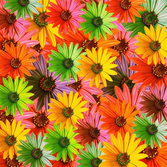 2.1 Kwiaty gify - kvetiny_267162628_223.jpg
