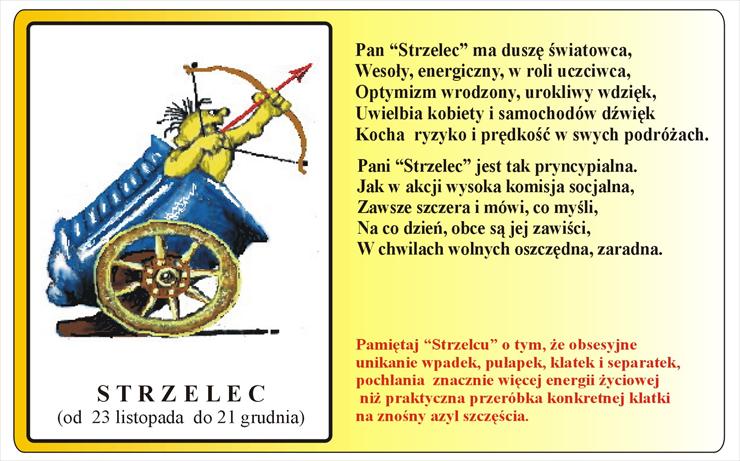 Strzelec - 11 Strzelec.jpg