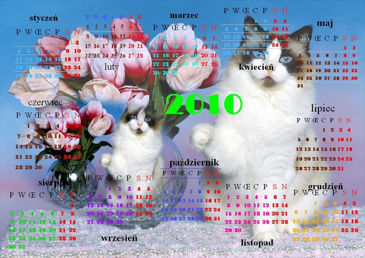 Kalendarze 2010 - 44.41.JPG