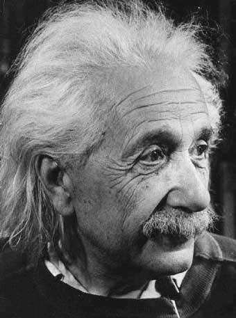 MaxFox - Albert Einstein.jpg