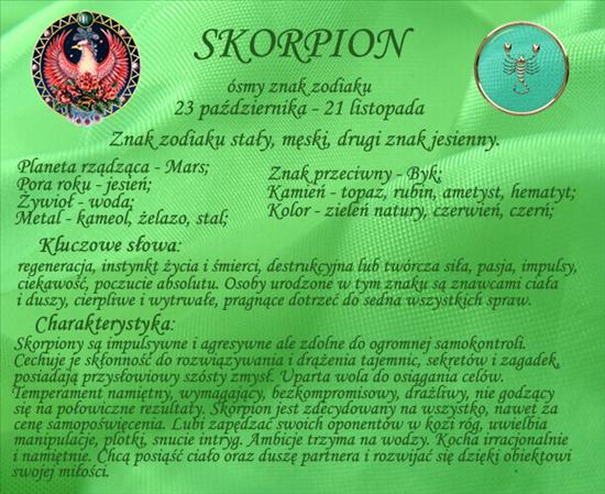 Opis Charakterystyka - skorpion2.jpg