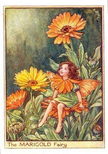 elfy - marigold_flower_fairy.jpg