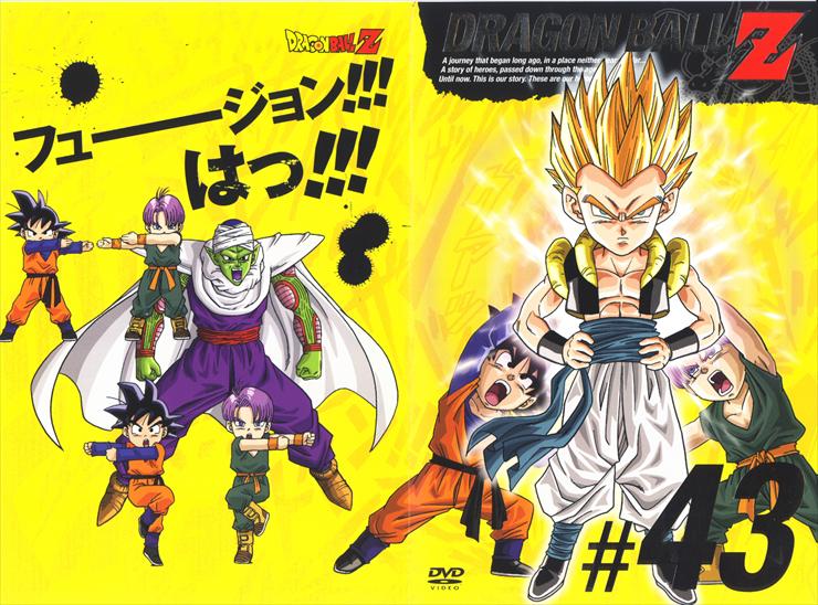 Dragon Ball Z Individual DVD - DBZ-Individual.DVD43-front.jpg