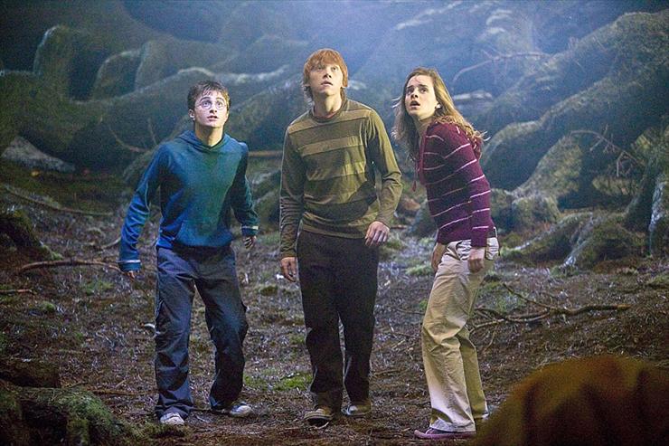 Harry Potter i Zakon Feniksa 5 zdjecia - 104181.1.jpg