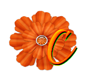 ORANGE FLOWER - C.png