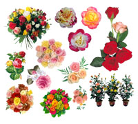 Kwiaty-szblony Flowers - templates - 8.jpg