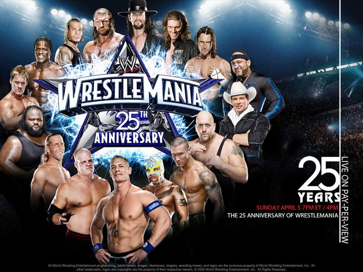 wwe tapety - WrestleMania 25 1024x768.jpg