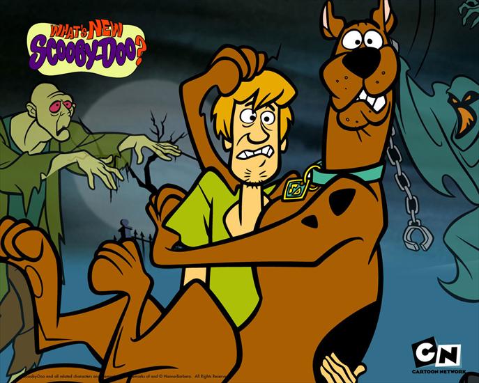 Scooby doo - Scooby-Doo-2.jpg