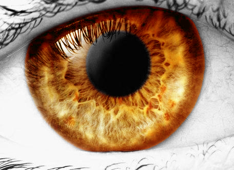 oczy - pomaranczowe_oko.jpg
