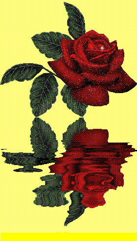 Kwiatki - roza 1.gif