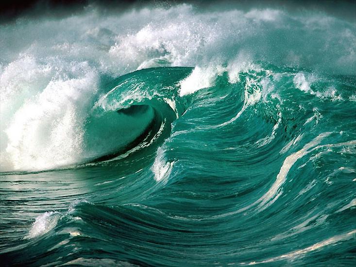 wave - wave_sea_natura-007.jpg
