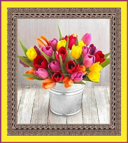 tulipany - tb.jpg