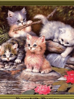 Zwierzęta - mua_slodkie_kotki.gif