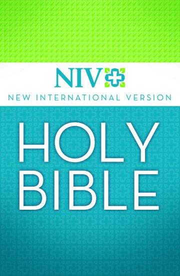 Holy Bible NIV 16028 - cover.jpg