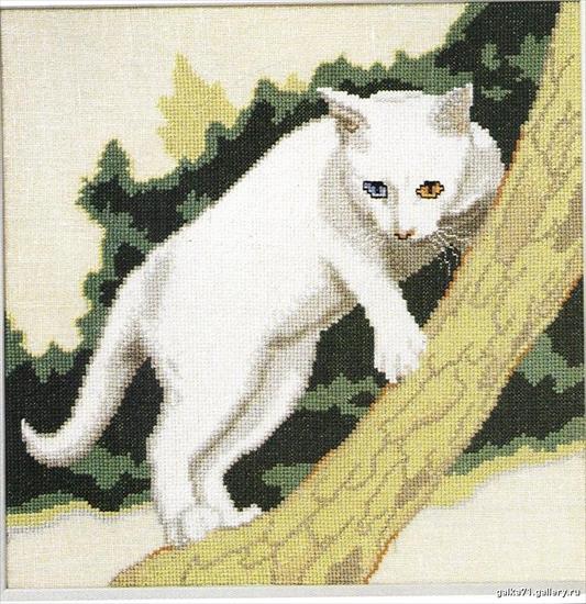 Roboczy - nieposegregowane - Biały kot na gałęzi.jpg