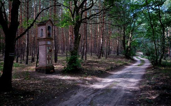 kapliczki przydrożne - leśna.jpg