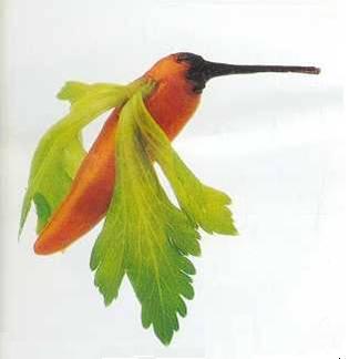 Postacie z warzyw1 - hummingbird.jpg