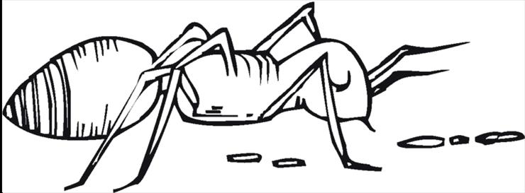 Owady - ant_insect_coloring_pages_and_sheet.GIF