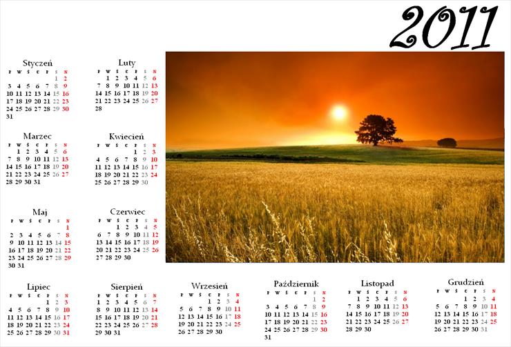 Kalendarze 2011 - kalendarz12.png