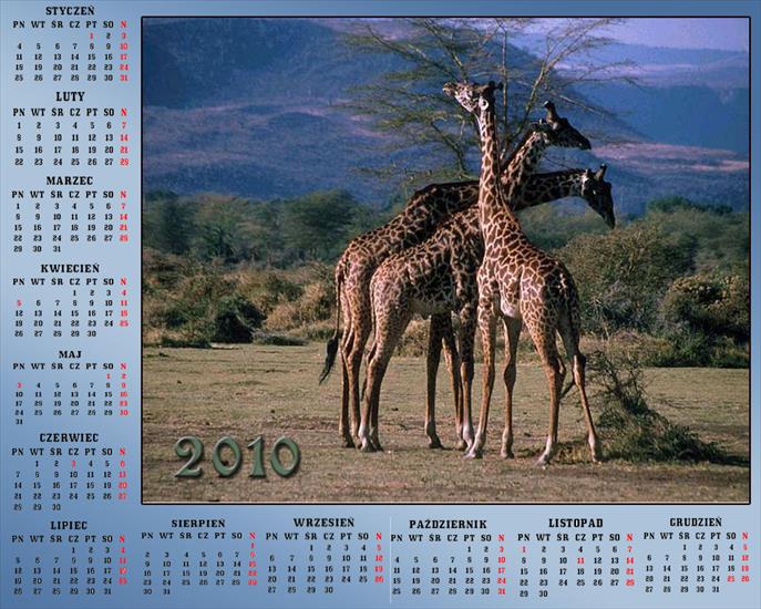 Kalendarze 2010 - Kalendarz 201012.jpg