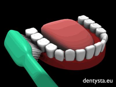 Materiały pomocnicze dla asystentek stomatologicznych - metoda roll.gif