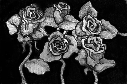 róża--piękny kwiat - ChomikImage.as.jpg