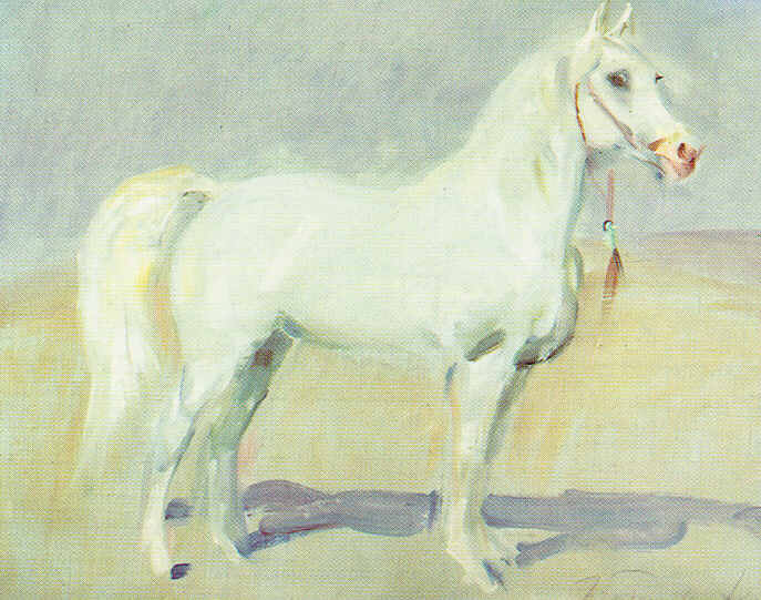 konie - 247c.jpg