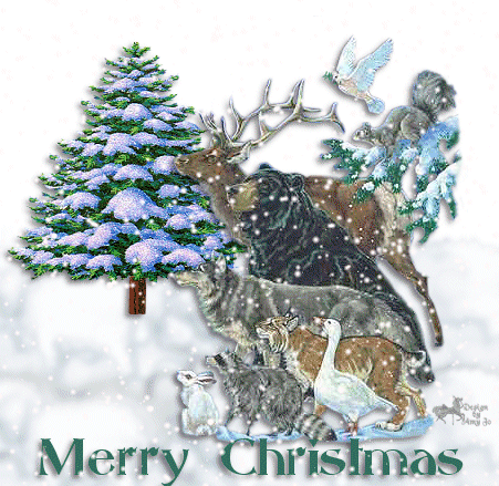 Świąteczne Boże Narodzenie - 1196826021-357-2.gif