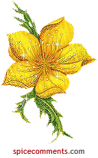 Kwiaty Chomisia52 - 00294.gif