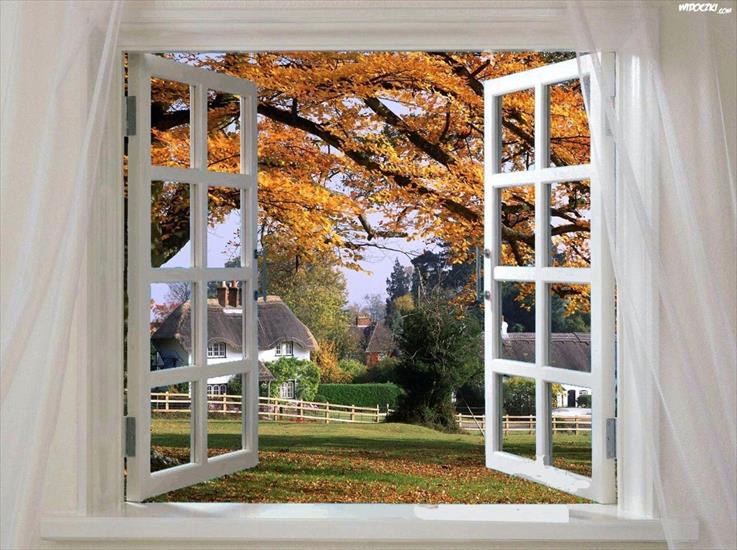 jesienne - jesienny-widok-przez-okno.jpeg