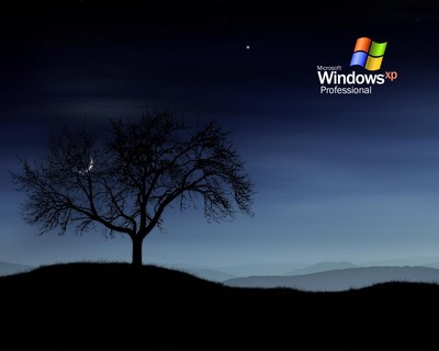windows - f6c482d5000022064a895289.jpg