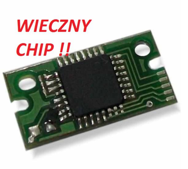 musk1979 - wieczny chip.jpg