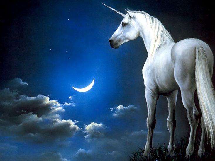 Konie,jednorożce i koniki - Unicorn Gazing At The Moon .jpg