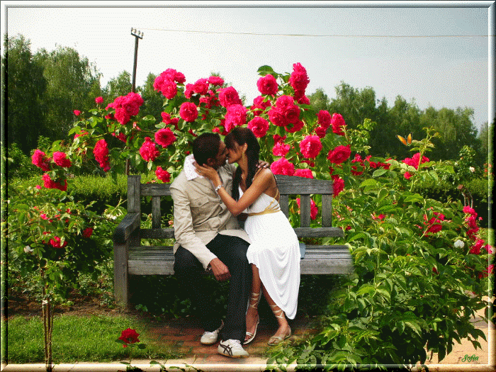  romantyczne  - w ogrodzie_.gif