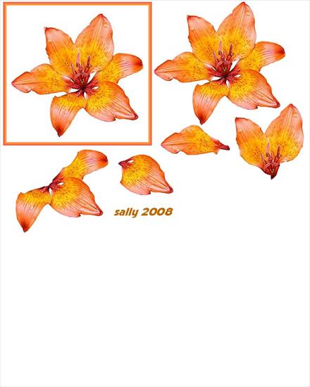 Motywy 3d - orange_flower.jpg