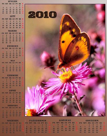 Kalendarze z motylkami - Bez nazwy 361.jpg