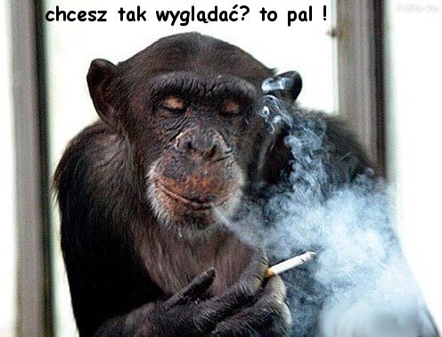 tapetki - palenie_szkodzi_urodzie_0.jpg