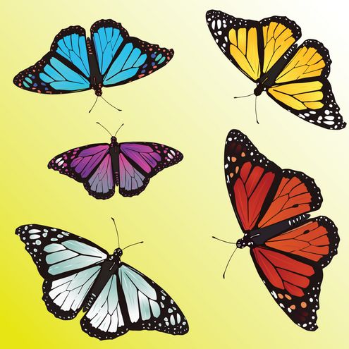 zwierzęta - _vector-butterfly-preview-by-dragonart1.png.jpg