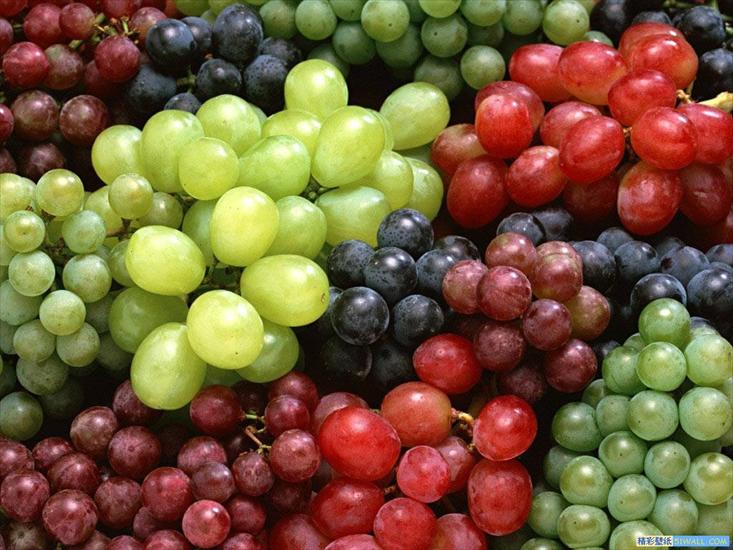 Owoce i warzywa - Grape1.jpg
