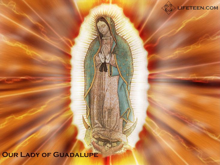 Najświętsza Maryja Panna - MB z Guadalupe.jpg