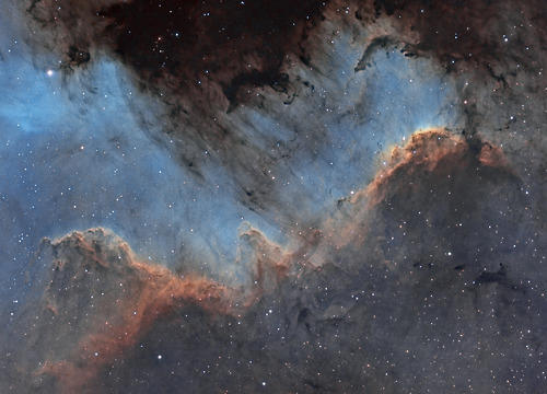 Kosmos - The Cygnus Wall.jpg
