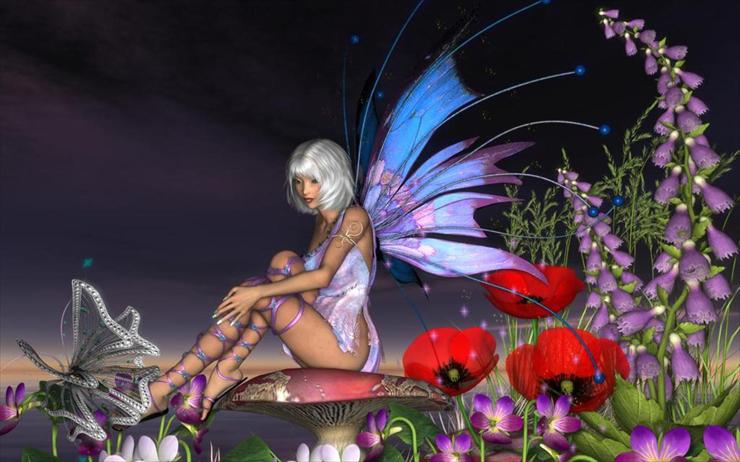  Elfy  Fairy  Butterfly - untitled8.JPG