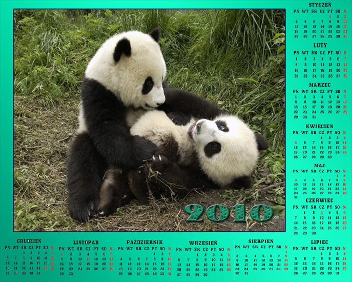 Kalendarze z różnymi zwierzętami - Bez nazwy 371.jpg