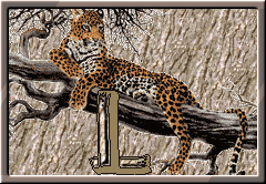Lampart - cheetah-l-letter.gif