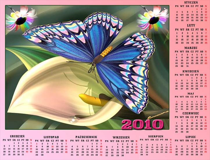 Kalendarze z motylkami - Bez nazwy 57.jpg