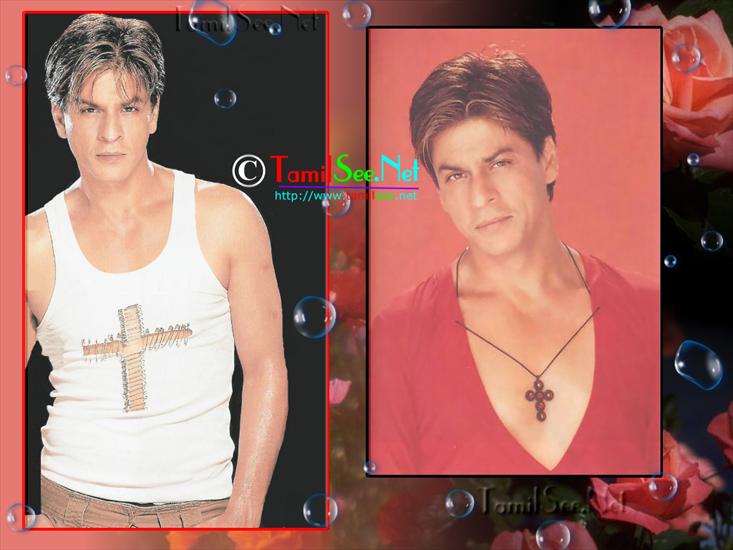 Mój idol SRK - tamilsee_shahrukh_khan_wal211024x768.jpg