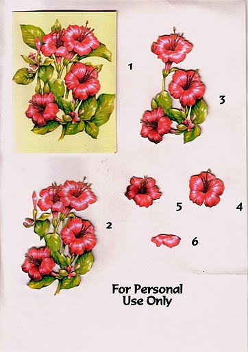 Kwiaty1 - image9 2.jpg