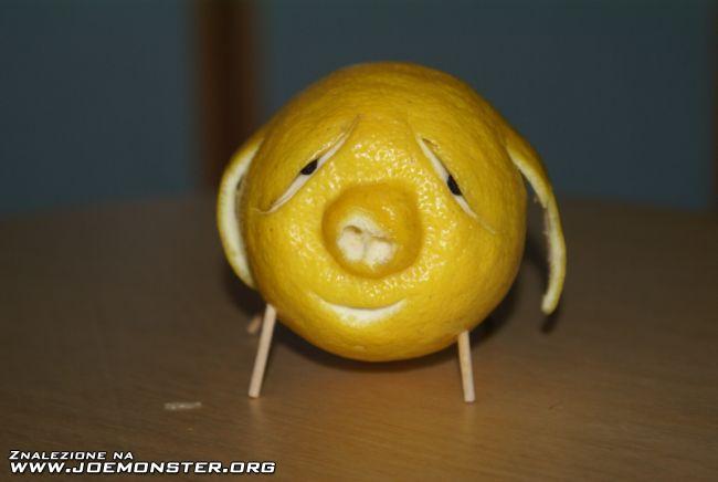 Śmieszne - limonoswin.jpg