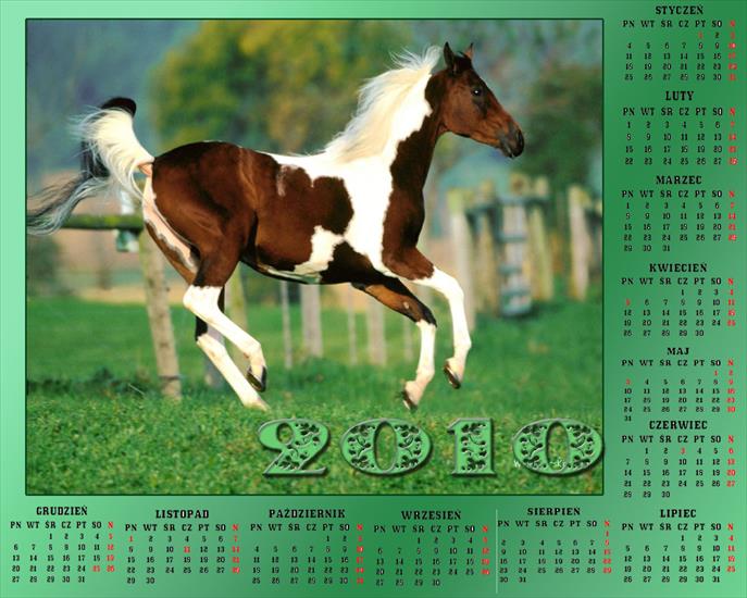 Kalendarze z koniami - Bez nazwy 391.jpg