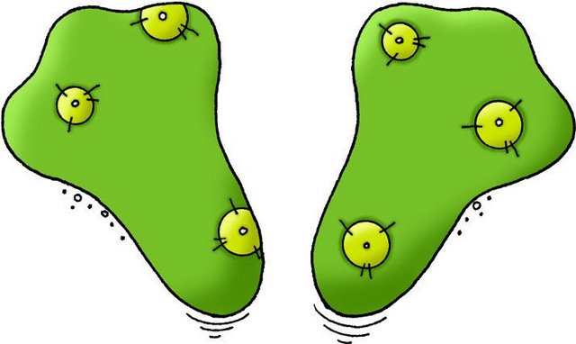 ZAWIESZKI NA OGŁOSZENIAśmieszne główki i nogi - 11 - TP Frog Feet.jpg